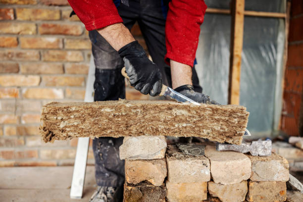 Best Insulation Removal  in Highland Heights, KY